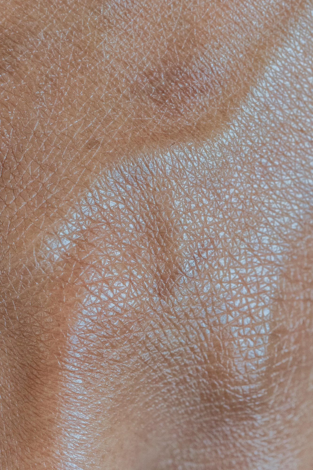 pexels-angela-roma-7479967.jpg