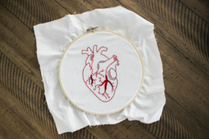 Physiologie animale : le coeur