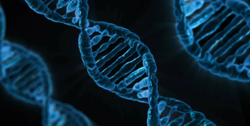 dna-163466_1280.jpg