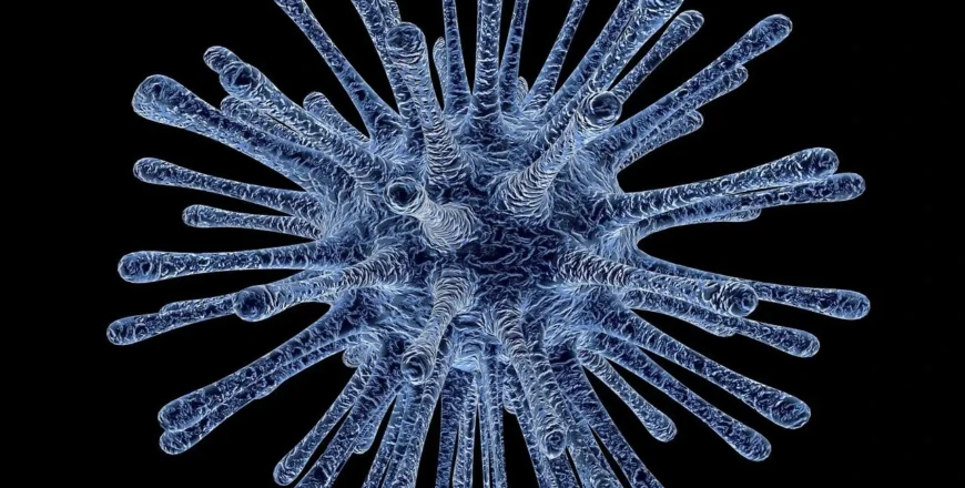 virus-213708_1280.jpg