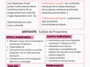 Fiche A4 Enseignement Floral Rose.jpg