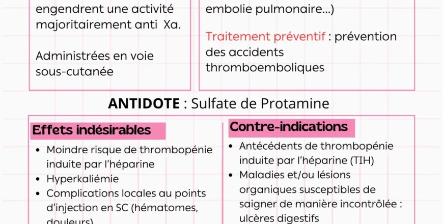 Fiche A4 Enseignement Floral Rose.jpg